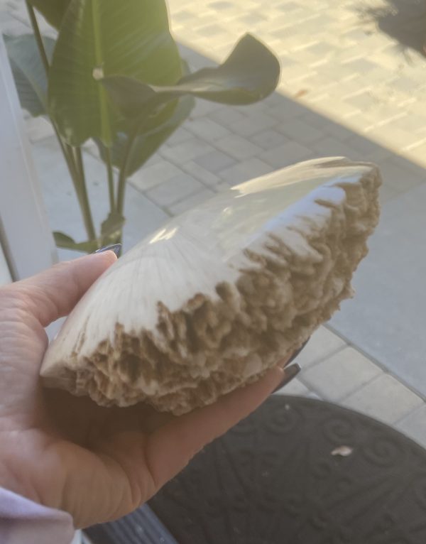 Raw Scolecite
